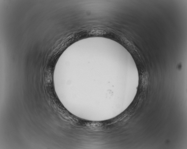 X0000115620517200912011618