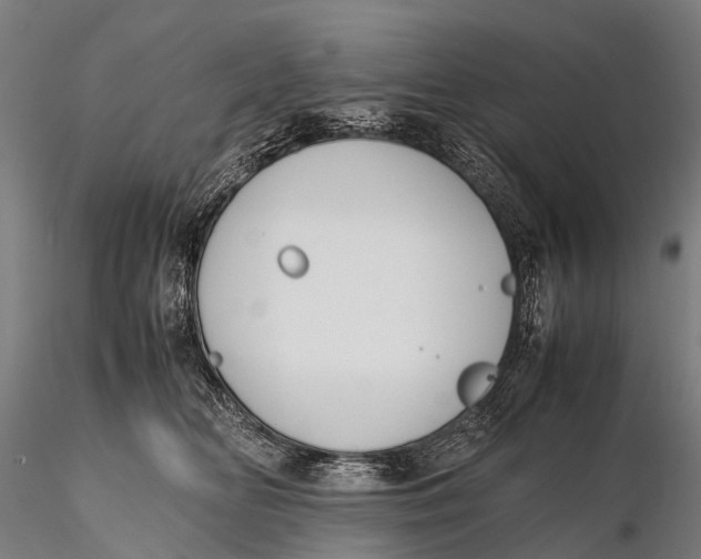 X0000115620518200912011618