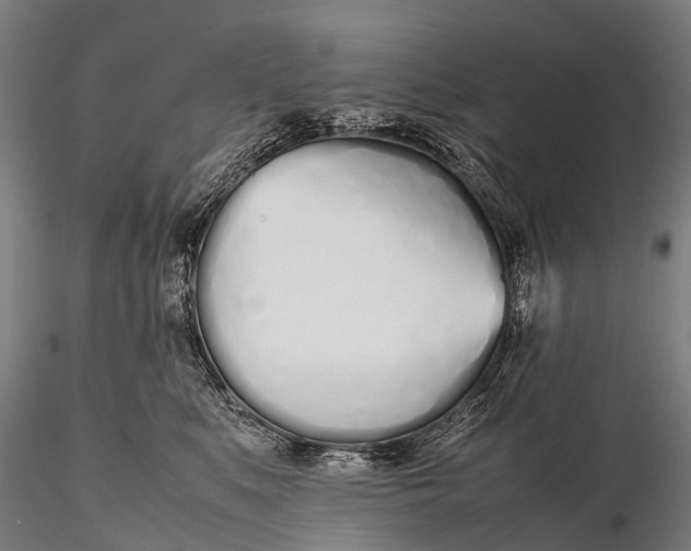 X0000115620519200912011618