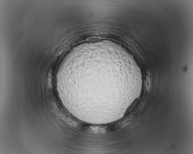 X0000115620520200912011617