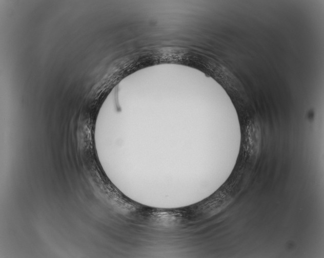 X0000115620522200912011617