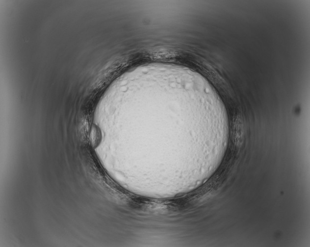 X0000115620523200912011617