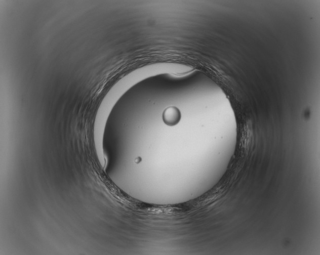 X0000115620524200912011617