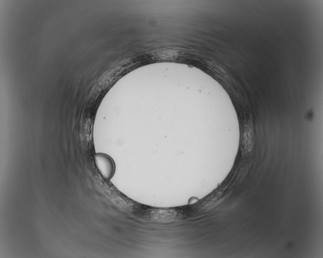 X0000115620525200912011617