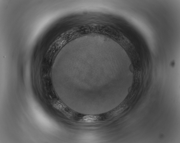 X0000115620526200912011617