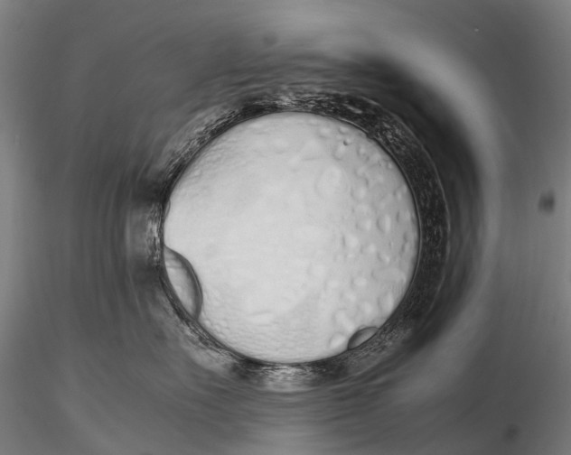 X0000115620527200912011617