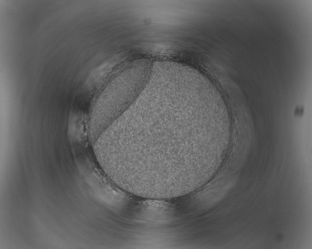 X0000115620528200912011617