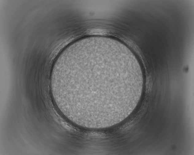 X0000115620529200912011617