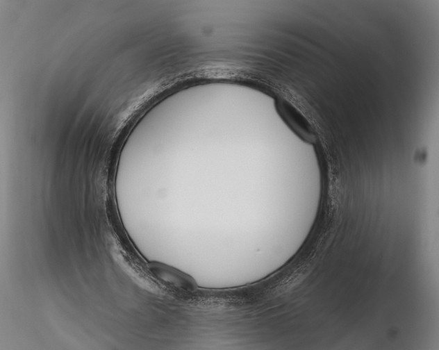 X0000115620530200912011617