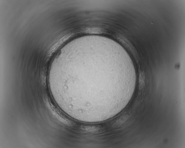 X0000115620533200912011617