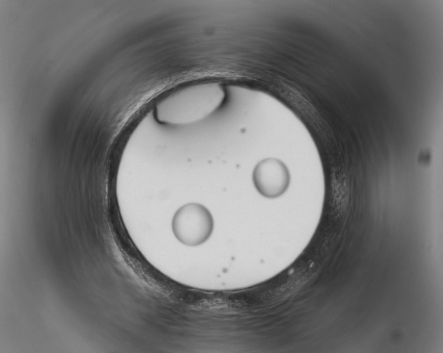 X0000115620534200912011617