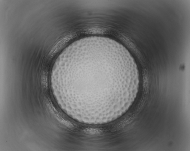 X0000115620537200912011617