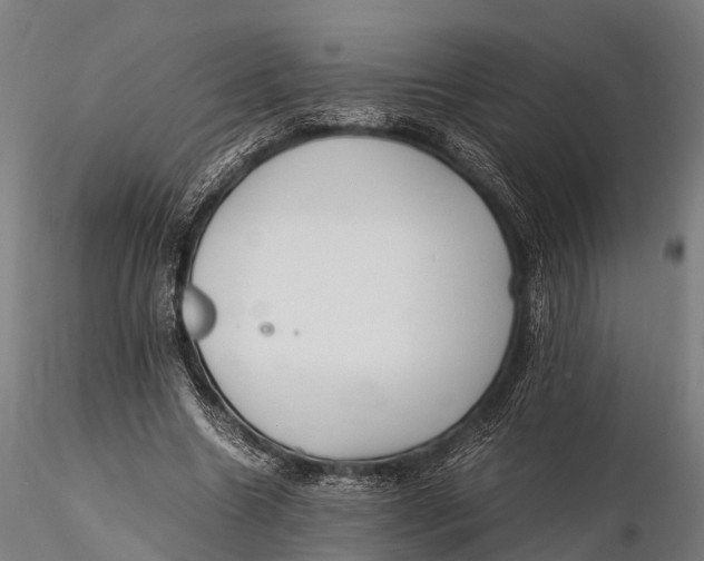 X0000115620538200912011617