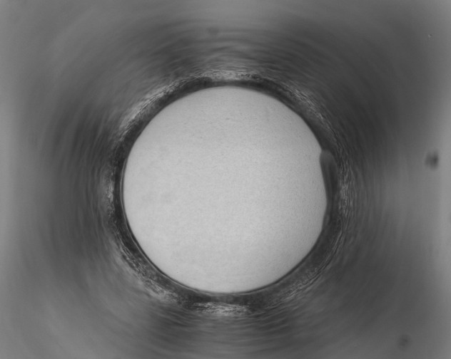 X0000115620539200912011617