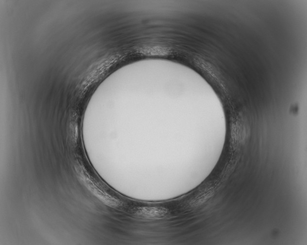 X0000115620541200912011617