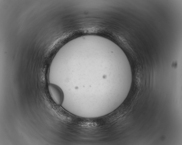 X0000115620543200912011617