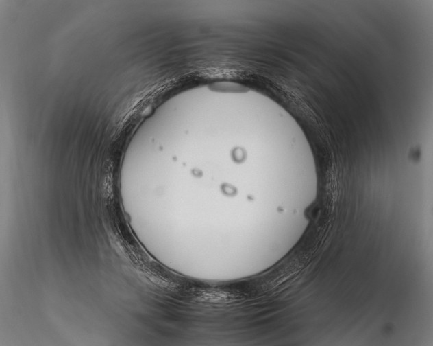 X0000115620547200912011617