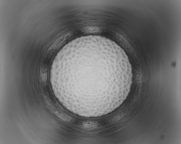 X0000115620549200912011617