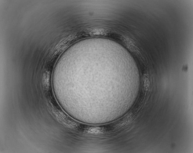 X0000115620550200912011617