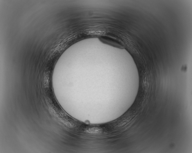 X0000115620551200912011617