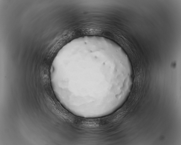 X0000115620553200912011617