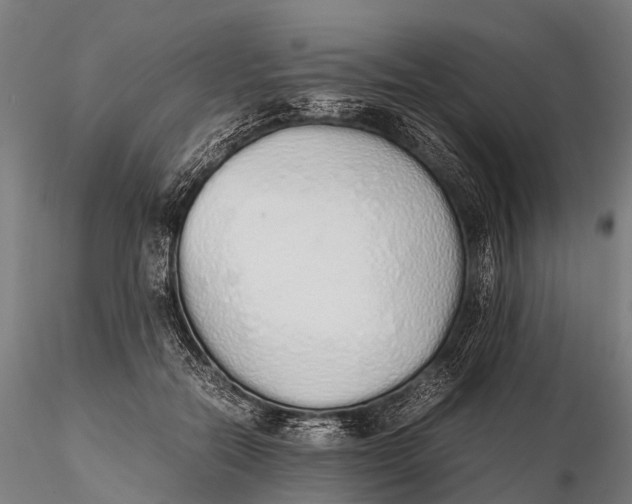 X0000115620554200912011617