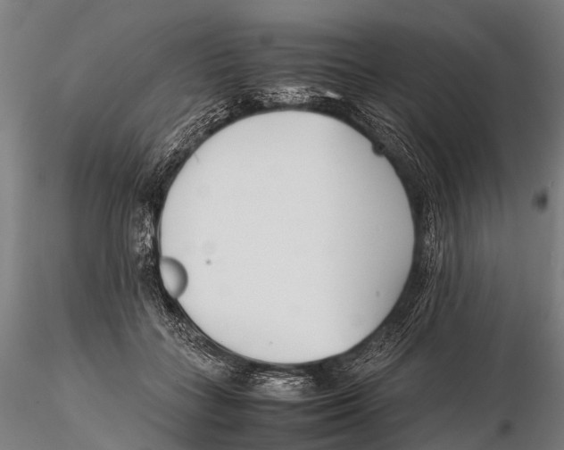 X0000115620555200912011617