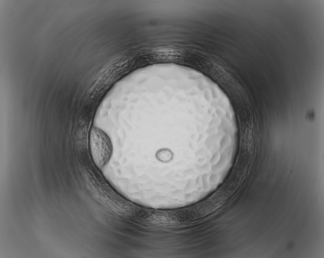 X0000115620557200912011617