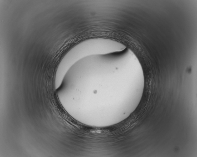 X0000115620558200912011617