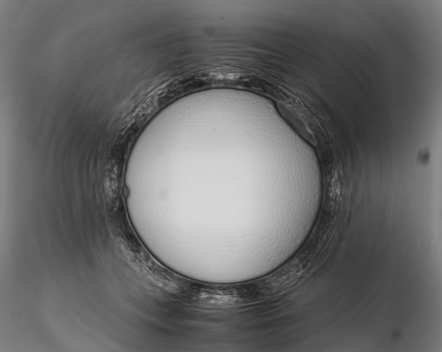 X0000115620559200912011617