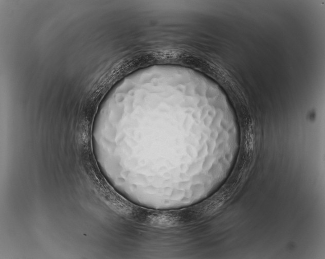 X0000115620561200912011617