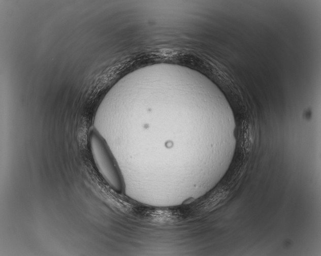 X0000115620562200912011617