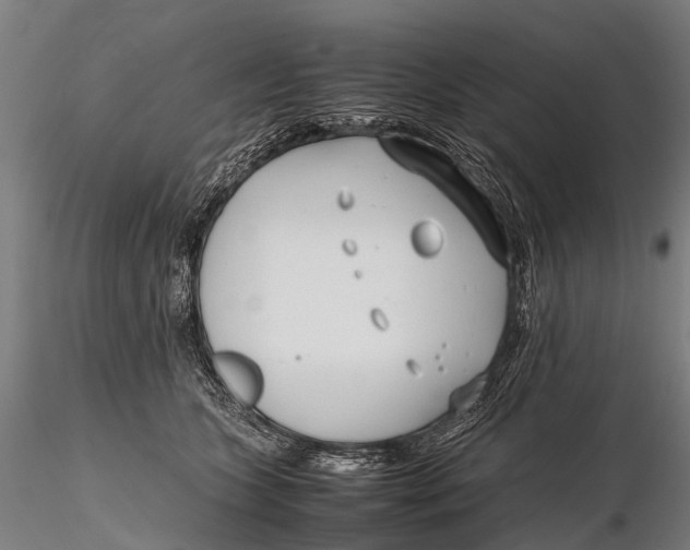 X0000115620563200912011617