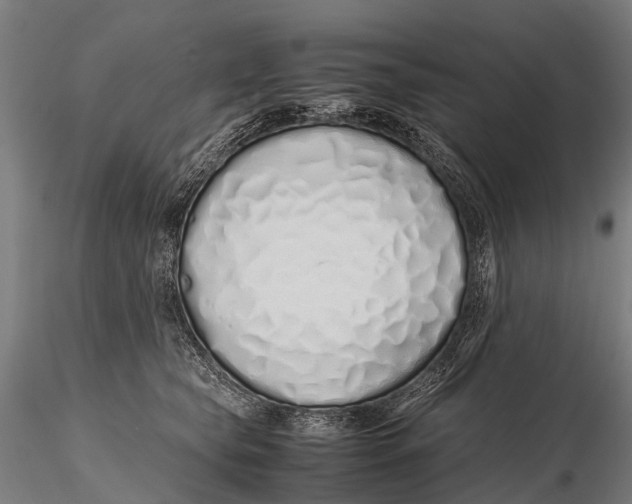 X0000115620565200912011617