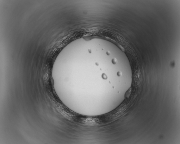 X0000115620566200912011617