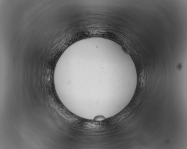 X0000115620567200912011617