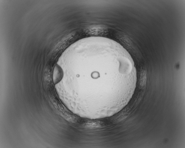 X0000115620569200912011617