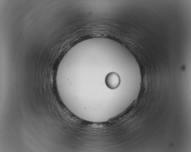 X0000115620570200912011617