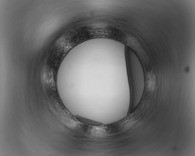 X0000115620573200912011617