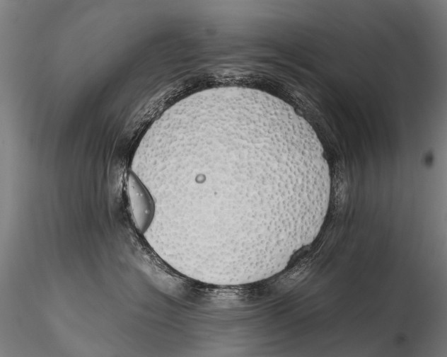 X0000115620574200912011617