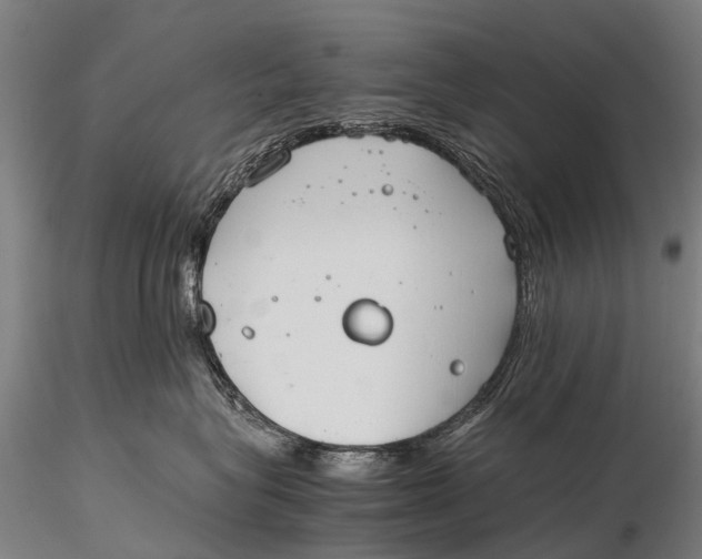 X0000115620575200912011617