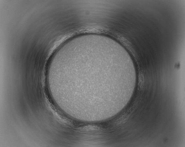 X0000115620578200912011617