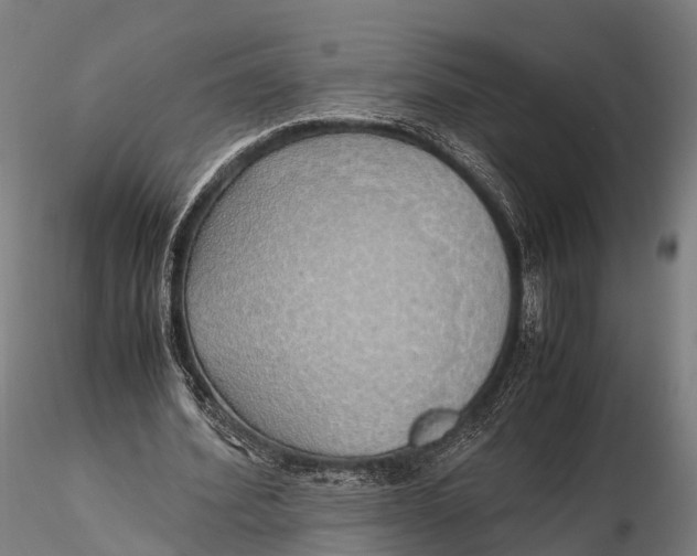 X0000115620580200912011617