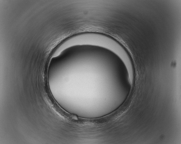 X0000115620581200912011617