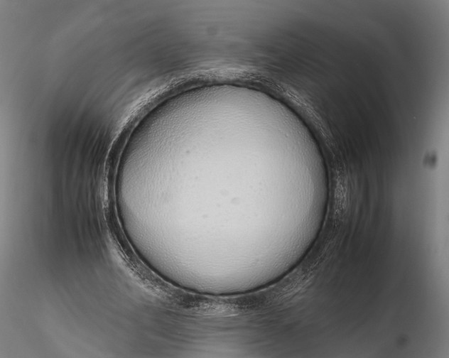 X0000115620582200912011617