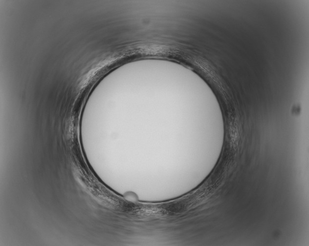 X0000115620583200912011617