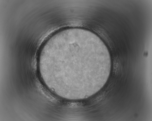 X0000115620584200912011617