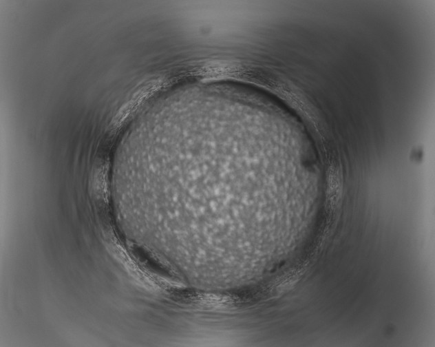 X0000115620585200912011617