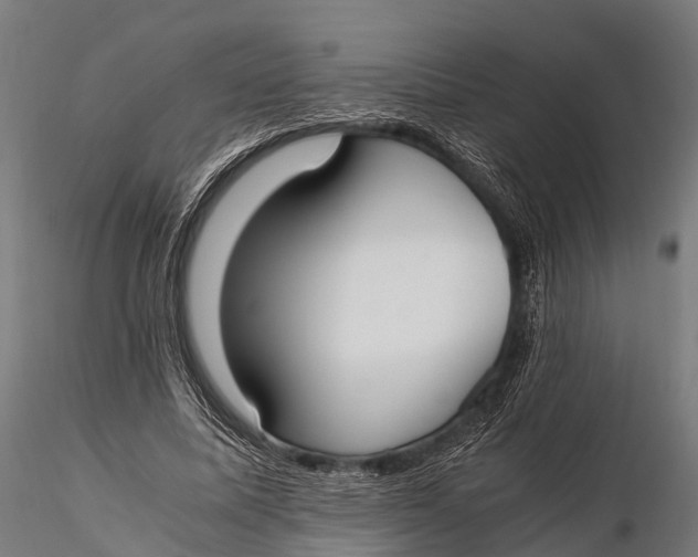 X0000115620587200912011617