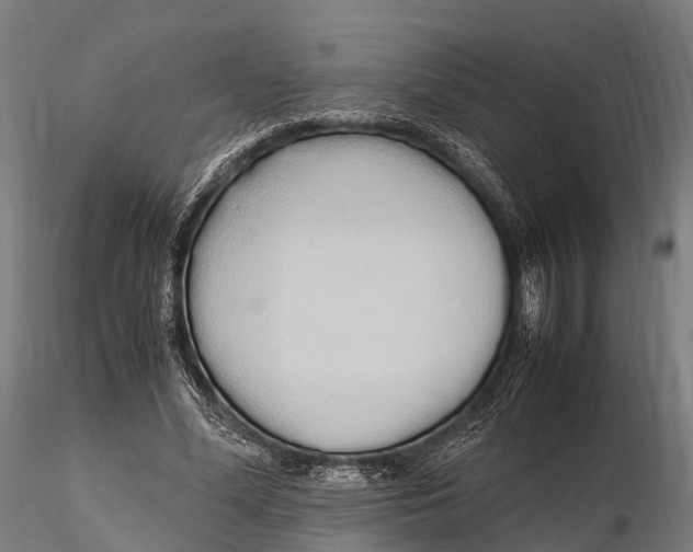 X0000115620588200912011617